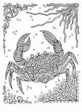 Coloring Pages Adult Sea Beach Color Colouring Under Book Books Sheets Animal Ocean Print Zentangle Underwater Fanta Adventure Ak0 Cache sketch template