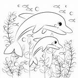 Dolphin Dolphins Delfine Corals Ausmalbild Swims Zum Supercoloring sketch template