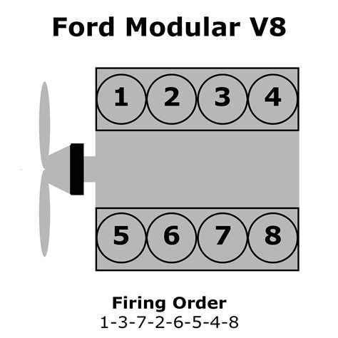 firing order     ford engine wiring  printable