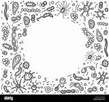Bacteria Betrag Abgehobenen Stellten Zusammensetzung Corel Microorganism sketch template