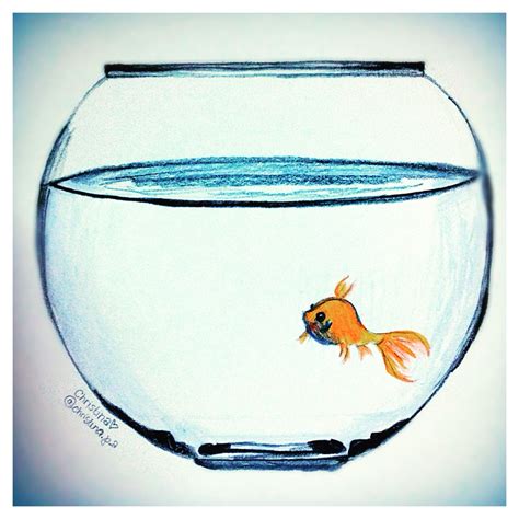 fish   fishbowl art fishbowl drawing pastel gore art pictures