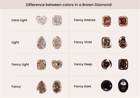 complete guide  brown diamonds emergence meaning