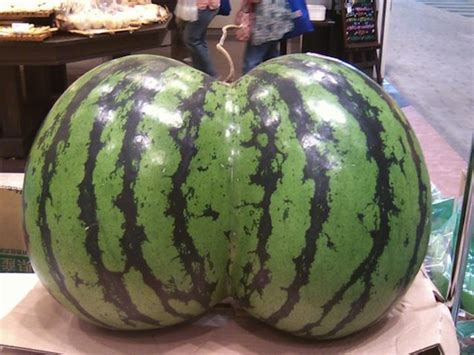 these japanese twin watermelons look like a sexy curvy butt tokyo kinky sex erotic and adult