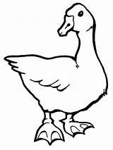 Pages Goose Coloring Printable Colouring Kids Print Birds 1600 1200 Duck Supercoloring Color Gooses Template Results Silhouettes Recommended sketch template