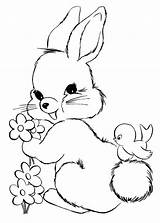 Colorare Conigli Coniglio Disegni Kelinci Gambar Mewarnai Pianetabambini Coniglietto Disegnare Coniglietti Lucu Pintarmewarnai Pasquali Binatang Versione sketch template