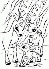 Rudolph Reindeer Nosed sketch template