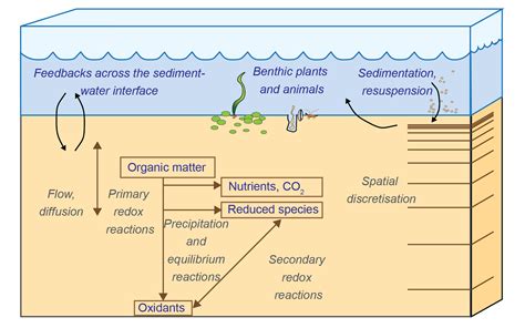 sediment biogeochemistry  aed manual