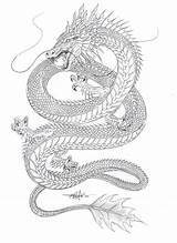 Drachen Japanische Asiatische Drache Wasserdrache Diytattooimages Chinesischen Drachentattoo Drachentattoos Asiatischer Japanischer sketch template