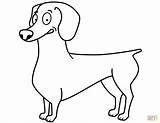 Coloring Dachshund Funny Template Pages Printable Categories sketch template