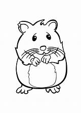 Hamster Coloriage Sheets Fishes Bestcoloringpagesforkids Relacionadas Coloringhome sketch template