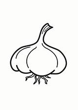 Garlic Coloring Pages sketch template