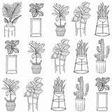 Houseplant Calathea Houseplants Indoorplants Illus Blackandwhite sketch template