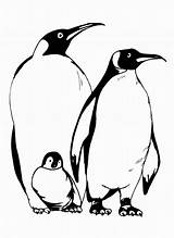 Pinguin Mewarnai Paud Kasih Semoga Terima Berkunjung Bermanfaat Telah Coloringfolder sketch template