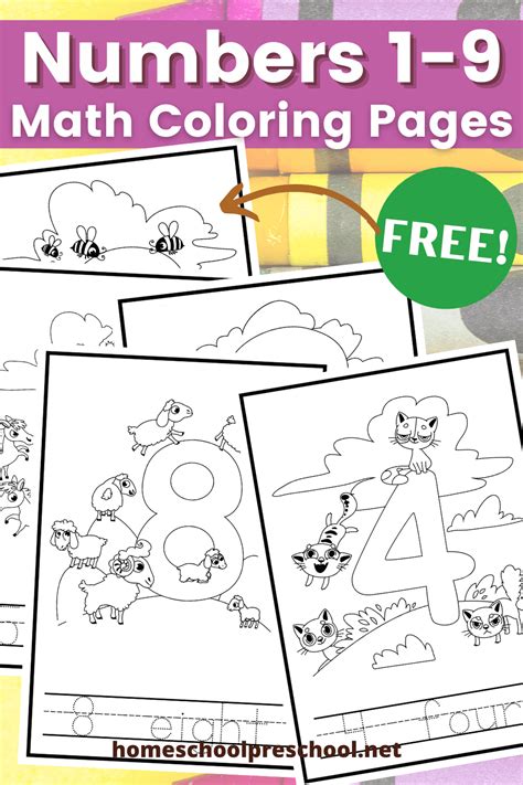 coloring pages math worksheets