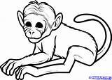 Monkey Spider Drawing Draw Step Getdrawings sketch template