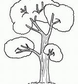 Tree Aspen Drawing Getdrawings sketch template