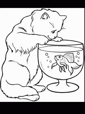 pokemon  coloring pages coloring page book  kids animal