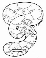 Snake Boa Constrictor Coloring Line Anaconda Drawing Clipart Python Pages Burmese Drawings Deviantart Library Snakes Color Green Getdrawings Cliparts Clip sketch template