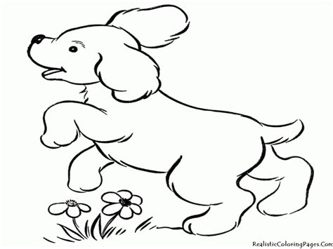 baby puppy coloring pages coloring home