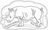 Rhinoceros Rhino Supercoloring Rhinos sketch template