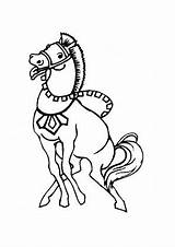 Pferd Zirkus Pferde Malvorlagen Pony sketch template
