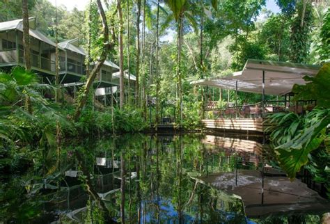 best tree house hotels in the world have been revealed metro news