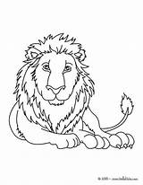 Lion Coloring Pages Cub Drawing Lioness Para Colorear Sleeping Color Dibujo Print Hellokids Getdrawings Leones Online Getcolorings Leon sketch template