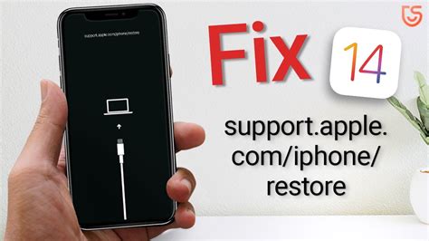 support apple  iphone restore iphone  deneen spooner