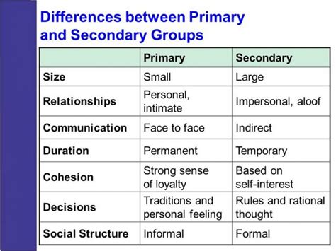 social group  foundations  society bcis notes