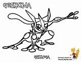 Pokemon Coloring Pages Xy Froakie Kalos Frogadier Greninja Fennekin Colouring Mega Sheets Color Getcolorings Bubakids Yescoloring Chesnaught Printable Thousand Through sketch template