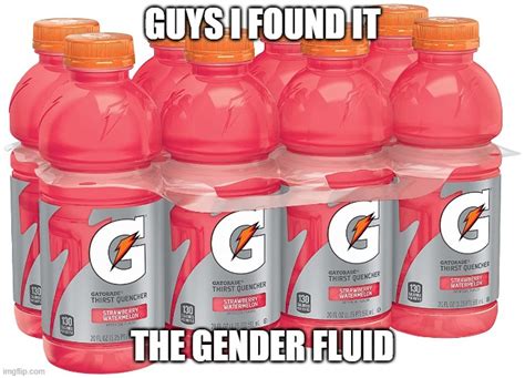gender fluid imgflip