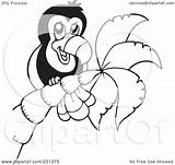 Toucan Coloring Palm Outline Tree Illustration Royalty Clipart Visekart Rf sketch template