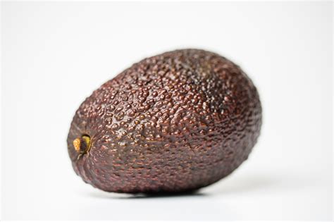 mini avocado hass  bio spanien hof zur sonne