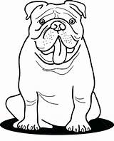 Bulldog Coloring Pages Georgia Funny Bulldogs American Frenchie Printable Color Getcolorings Print Template Pag sketch template