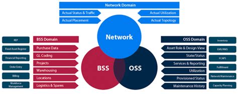 bssoss  redes neutras  loopback education