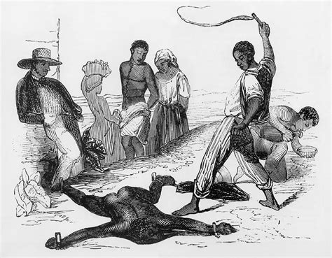Slave Punishment In The French West Photograph By Everett