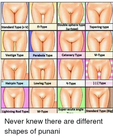 different types of vagina shapes naked girls