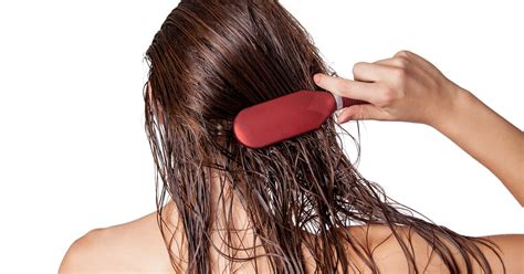 the 5 best hair brushes for wet hair
