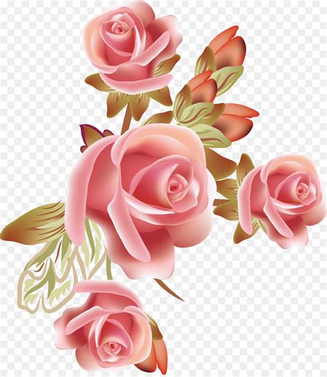Rose Flower Vector At Getdrawings Free Download