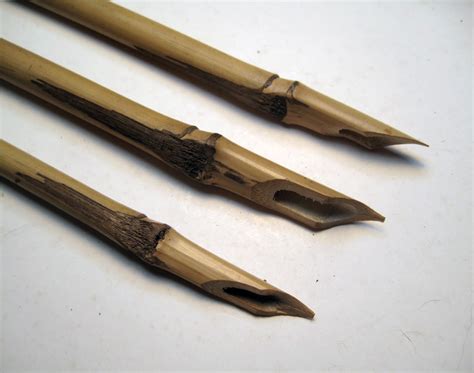 natural reed pens