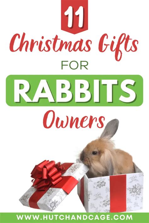 christmas gifts  rabbit lovers   gift ideas hutch  cage