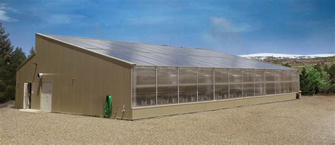 solar greenhouse design construction year  growing