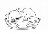 Coloring Pages Sleeping Kitten Cat Printable Drawing Line Cute Cats Sheets Basket Kitty Kids Dog Animal Print Sleep Getdrawings Dogs sketch template