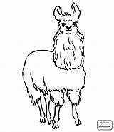 Llama Coloring South Pages American Drawing Animals America Alpaca Line Kids Dragon City Printable Getdrawings Animal Search Color Drawings sketch template