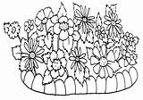 Flower Bed Coloring Pages Flowerbed sketch template