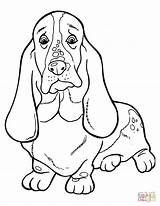 Coloring Hound Basset Dachshund Kleurplaat Silhouettes Cute Printable Drawing Dogs sketch template
