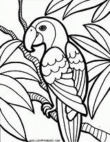 Coloring Printable Pages Book Clipartmag sketch template