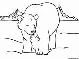 Polar Pages Coloring Bear Color Cute Printable sketch template
