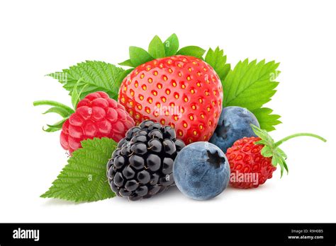 wild berries mix strawberry raspberry blueberry blackberry
