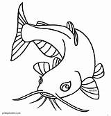 Catfish sketch template